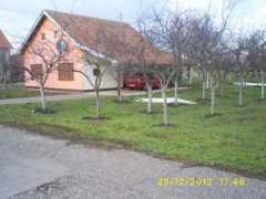 srbija-nekretnine.org Miloseva