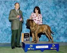 blackriverbullmastiffs.com Miltons