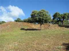 panoramio.com Milucha