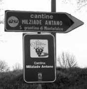weimax.com Milziade