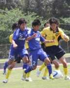 univ.nikkansports.com Mimaki