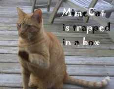 Mime