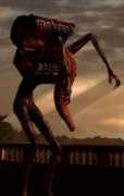 Mimic