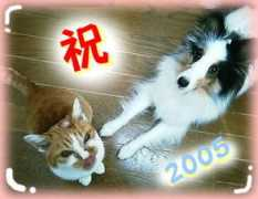 geocities.co.jp Mimimama