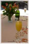 Mimoso