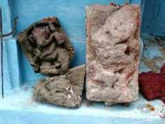 photos.merinews.com Minaketan
