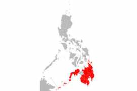 Mindanao