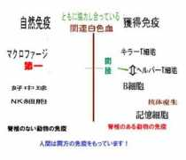 drug-net.jp Mineki