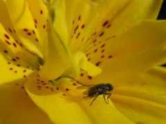 pilt.delfi.ee Minema