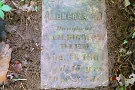 bigelowsociety.com Minerv