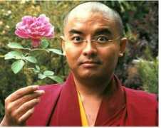 elephantjournal.com Mingyur