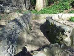pompeiiinpictures.com Minius