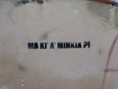 Minkia