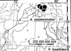 Minmo