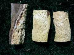 australianburls.com Minnat