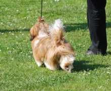 Minni