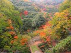 Minoh