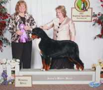 jendabernese.com Minosa