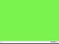 colourlovers.com Mintee