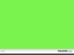 colourlovers.com Mintee