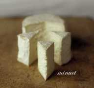 andantedairy.com Minuet