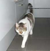 Minzi