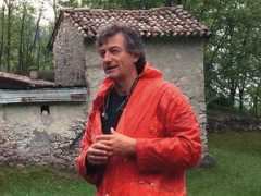 primorske.si Miorelli