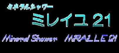 111.ne.jp Miraille