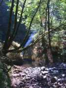 w3.gorge.net Miralee