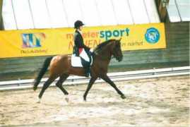 nf.skattegards.se Miramis