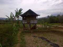 panoramio.com Mirasa