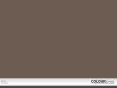 colourlovers.com Mirely