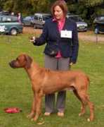 southernridgebacks.co.uk Mirengo