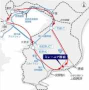 frontier-world.co.jp Mirenia