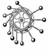 strangehorizons.com Mirho