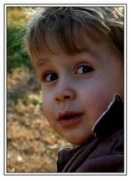 photodom.com Miric