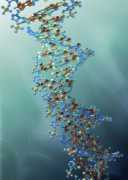genengnews.com Mirnas