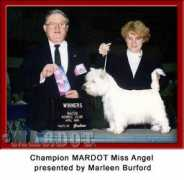 mardot.org Missangel