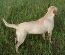 rainmakerlabs.com Missbella