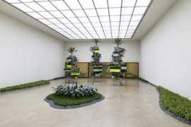 we-find-wildness.com Missika