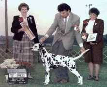 alfredrichdalmatians.com Misters