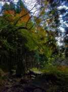 traveljapanblog.com Mitake