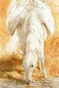 unicornjorge.com Mitchelson