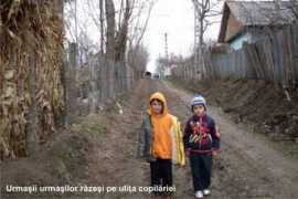 curierul-iasi.ro Mitican