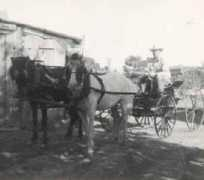 Mitich