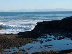 rudyrucker.com Mitip