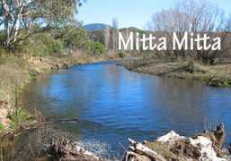 Mitta