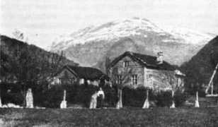 Mitthun