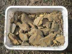 Mitti