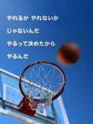 1st.geocities.yahoo.co.jp Miurin